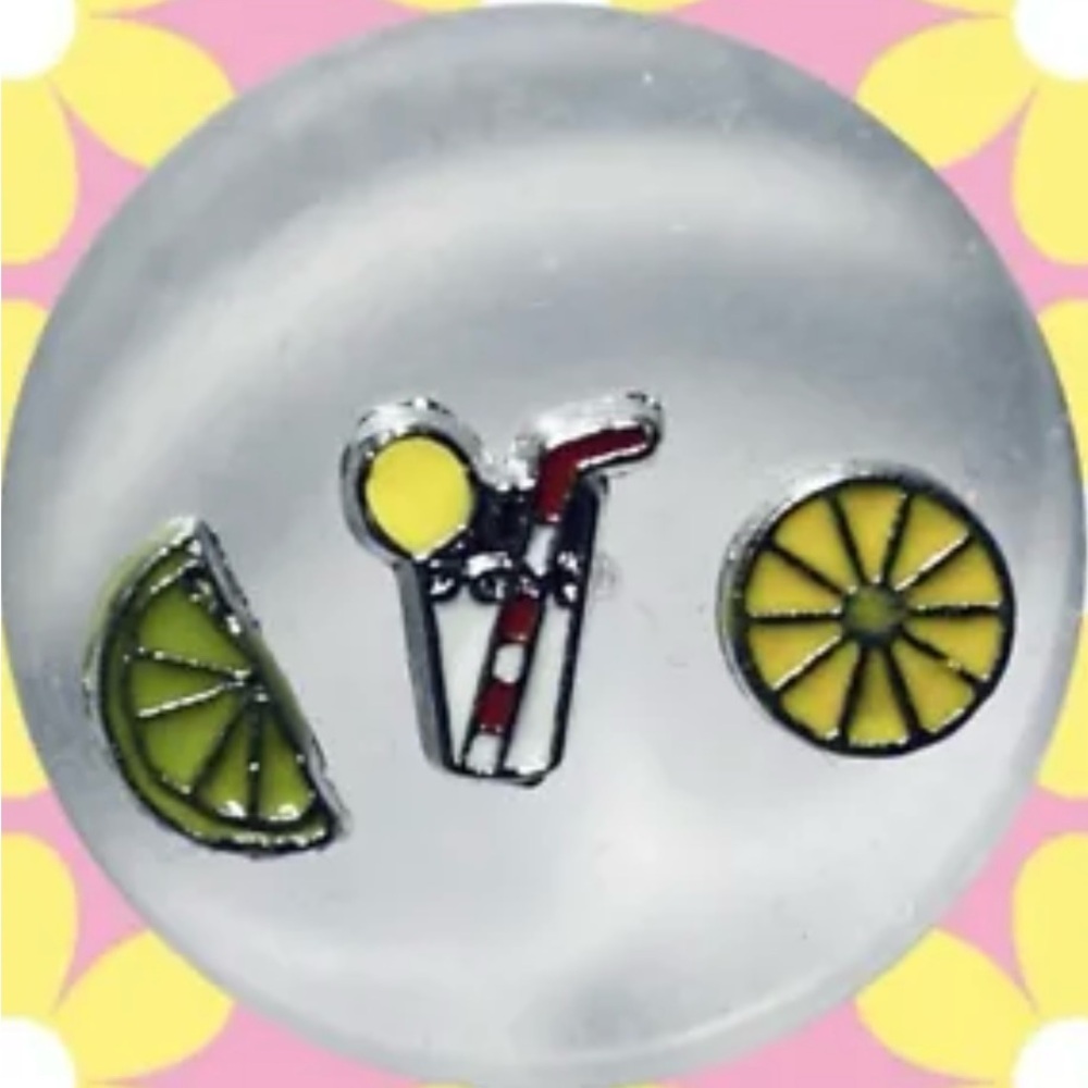 Origami Owl Lemonade Charm Set